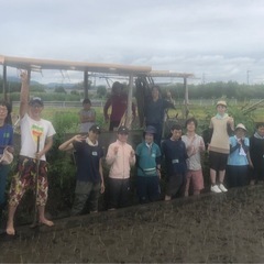 神奈川県座間市で田んぼ手伝ってくれる方募集！