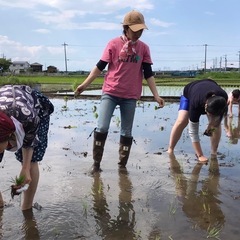 神奈川県座間市で田んぼ手伝ってくれる方募集！ - ボランティア
