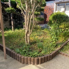 お庭や駐車場の草むしり、草刈り
