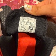 NIKEJORDAN 20センチの画像