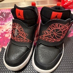 NIKEJORDAN 20センチ