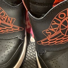 NIKEJORDAN 20センチの画像