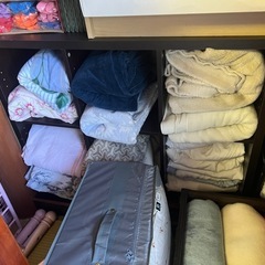 タオルケット　毛布