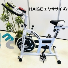 HAIGE エクササイズバイク