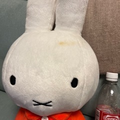 ミッフィーぬいぐるみ
の画像