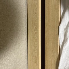 ベットの画像