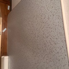 こたつ
