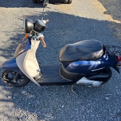 963.　動画あり　ホンダ　AF67トゥデイ　原付　バイク　50cc 車体　埼玉の画像
