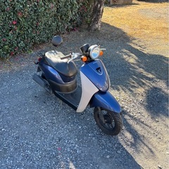 963.　動画あり　ホンダ　AF67トゥデイ　原付　バイク　50cc 車体　埼玉の画像