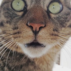 2/12 夜に街中華、屋台、昭和レトロ訪問☺️