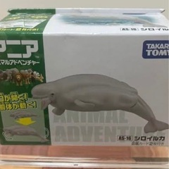 アニア　シロイルカ