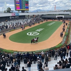 2/1(土) 京都競馬場で一緒に現地観戦しませんか？😁