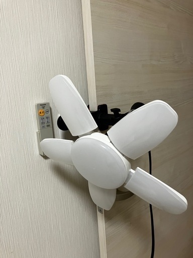 ライト