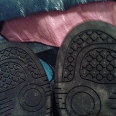 プーマー　スニーカーの画像