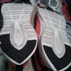 ペプシスニーカーの画像