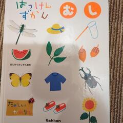 はっけんずかん　むし