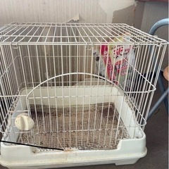 小動物ケージの中古が安い！激安で譲ります・無料であげます