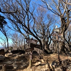 日本百名山天城山（伊東駅送迎付）の画像