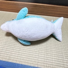 🐬音が出るイルカのぬいぐるみ🐬の画像