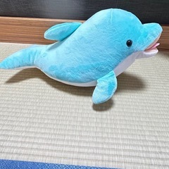 🐬音が出るイルカのぬいぐるみ🐬