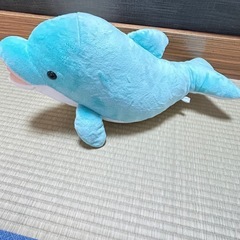 🐬音が出るイルカのぬいぐるみ🐬の画像