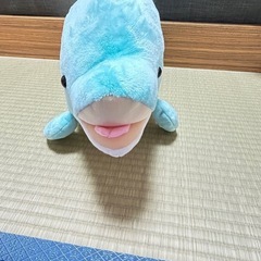 🐬音が出るイルカのぬいぐるみ🐬の画像