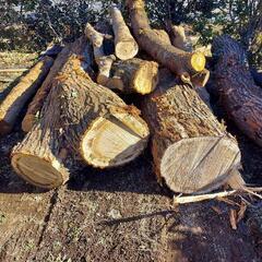 薪の画像