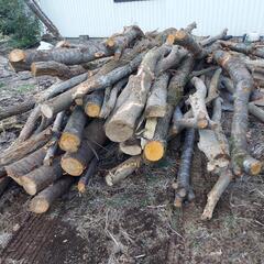薪の画像
