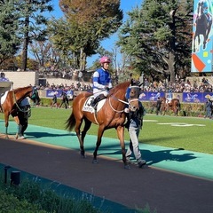 【満員御礼受付終了】2月2日（日）東京競馬場で一緒に観戦しませんか♪競馬仲間募集です！ - メンバー募集