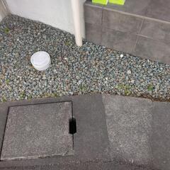 グレー砂利土差し上げますの画像