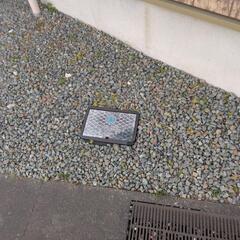 グレー砂利土差し上げますの画像