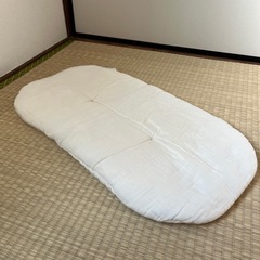 トッポンチーノ　抱っこ布団　オーガニックコットンカバー付きの画像
