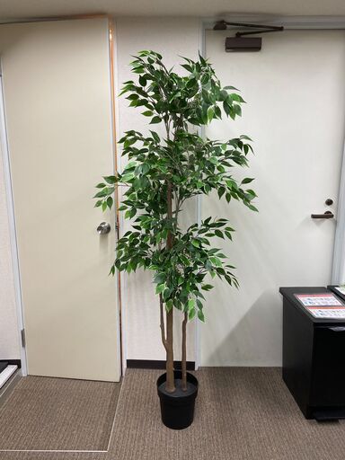 観葉植物（フェイクグリーン）