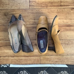 DIANAとElegance卑弥呼 パンプス2足