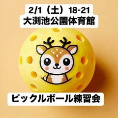 奈良ピックルボールクラブ練習会