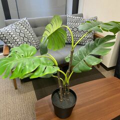観葉植物（フェイクグリーン）