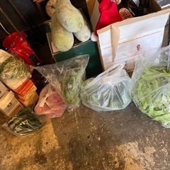 野菜