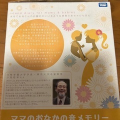 ママのお腹の音メモリーの画像
