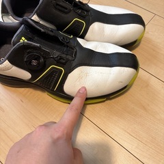 adidas ゴルフシューズの画像