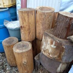 切り株いりませんか?