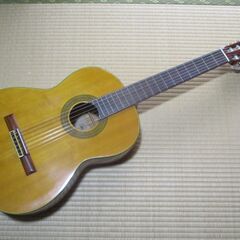 クラシックギター　スズキSG250
