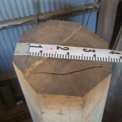 ケヤキ　無垢材　けやき　欅　引き取り限定の画像