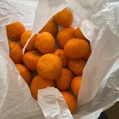 食品