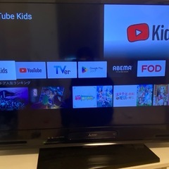 (決まりました)DVD内蔵型テレビ