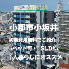 ペット可　西鉄電車まで近い　駅前物件　 防犯面OK