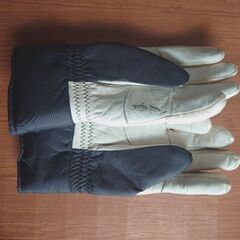 スキーグローブ　Ｌサイズの画像