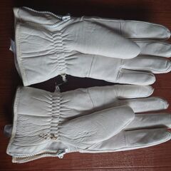 スキーグローブ　ロング　Ｌサイズの画像