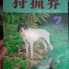 狩猟界　 雑誌　381冊