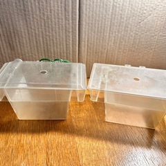 産卵ボックス2個