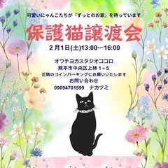 2月保護猫譲渡会